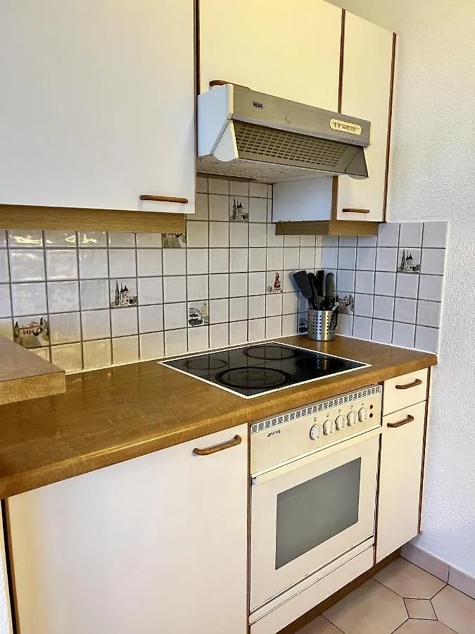 Beautiful Park View Apartment Next To Un Genève