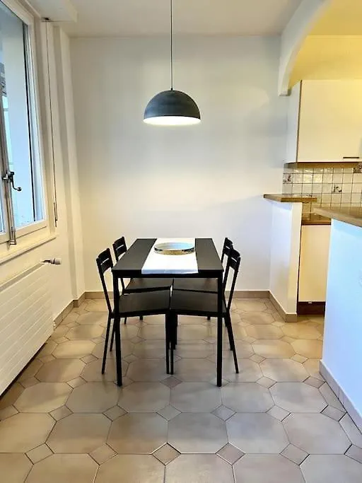 Beautiful Park View Apartment Next To Un Ginebra