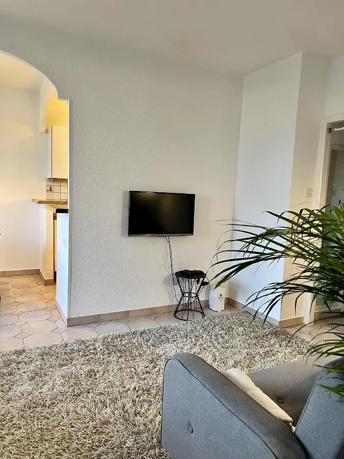 Beautiful Park View Apartment Next To Un Ginebra Suiza