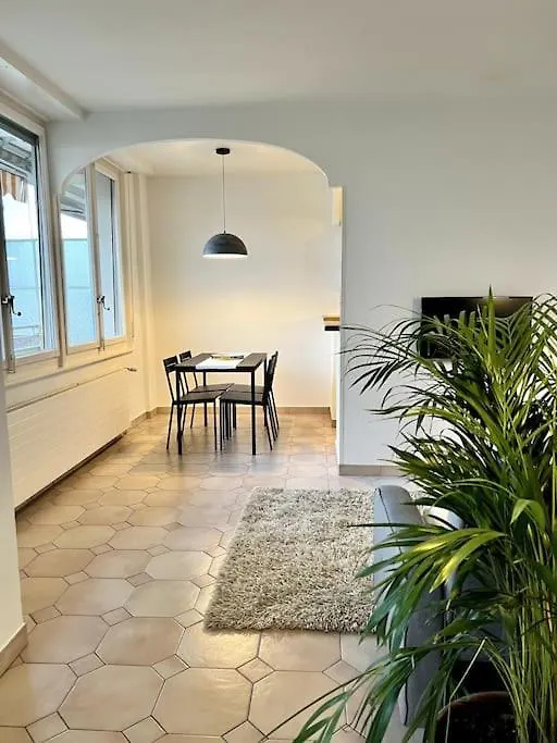 Beautiful Park View Apartment Next To Un Ginebra Suiza