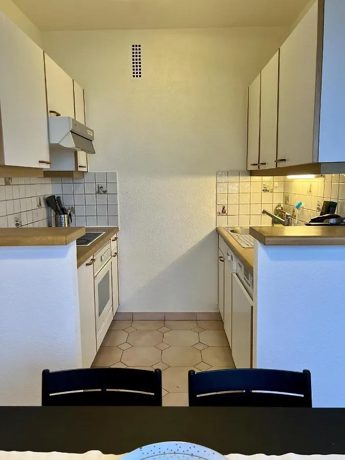 Beautiful Park View Apartment Next To Un Geneva